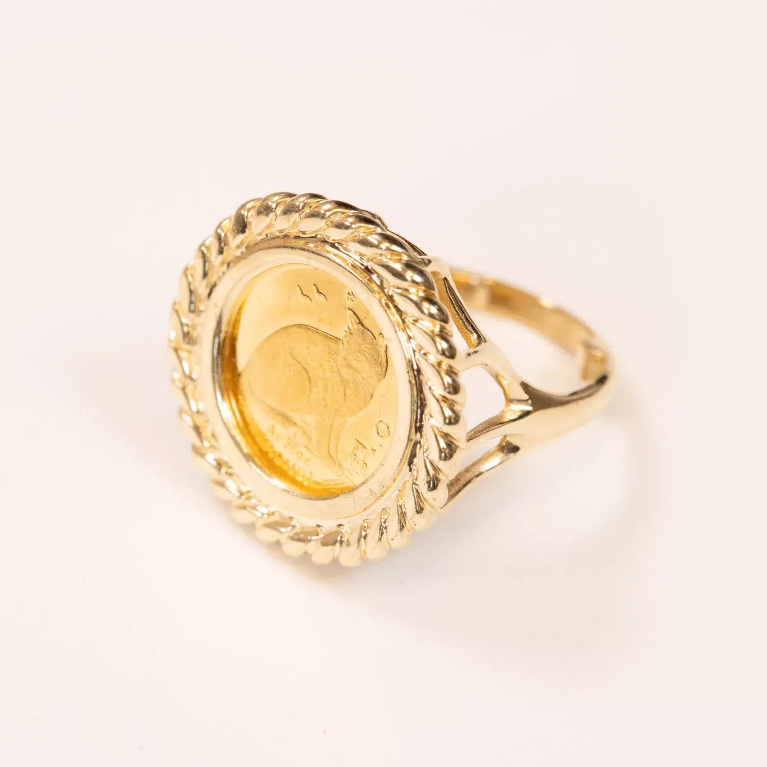 10 Karat Yellow Gold Ram Ring featuring a coin centerpiece with an embossed horse design, set against a white background.