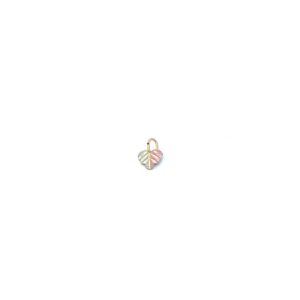 A small heart shaped charm on a white background.